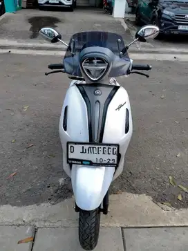 Filano Lux mulus KM rendah