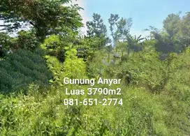 Tanah di Gunung Anyar Sby.