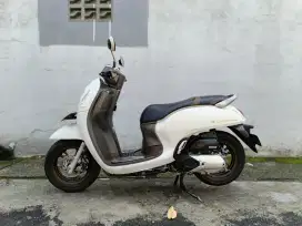 Honda scoopy prestige tahun 2022 gress