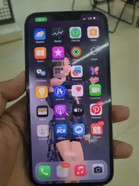 Iphone 13 pro max ex inter all operator