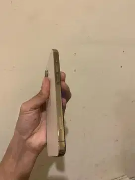 iphone 12 pro ex inter