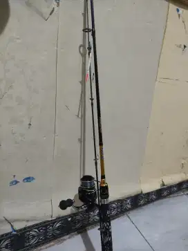 Joran pancing 1 set