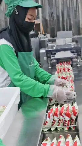 JUAL PABRIK MIE SAJA