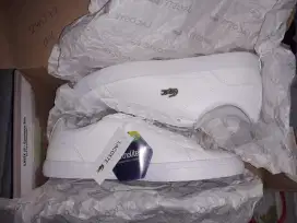 Lacoste original