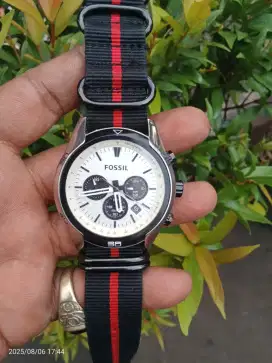 Jam Fossil Quartz original