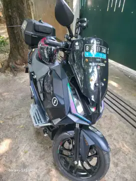 Alva Cervo Q 2024