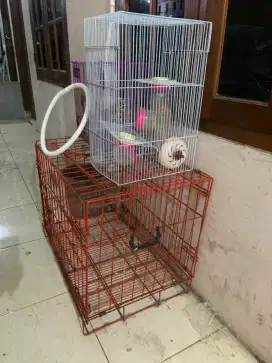 Kandang kucing dan hamster
