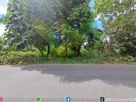 DIJUAL CEPAT TANAH MENARIK DAN STRATEGIS DI DIMEMBE,HARGA SANGAT MURAH