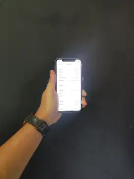 iPhone X 256GB All Operator