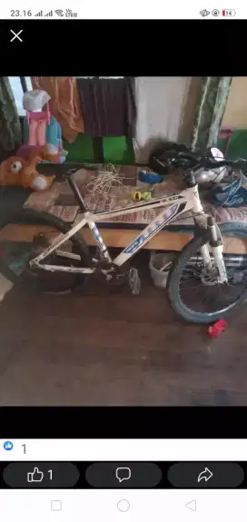 MTB siap pkai ukuran 24