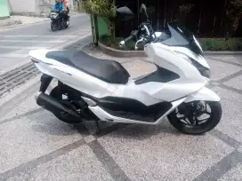 PCX cbs thun 2024