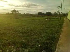 Tanah Gembur di Pasirgaok, Bogor