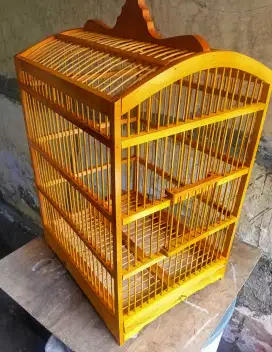 Kandang no 5 buat cipo / ciblek