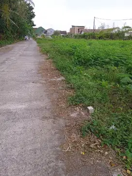 Jual Cepat Jogja Tanah Strategis Dekat Stadion Maguwoharjo
