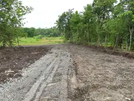 Tanah Salamrejo Sentolo Dekat Tugu Pensil Untuk Investasi