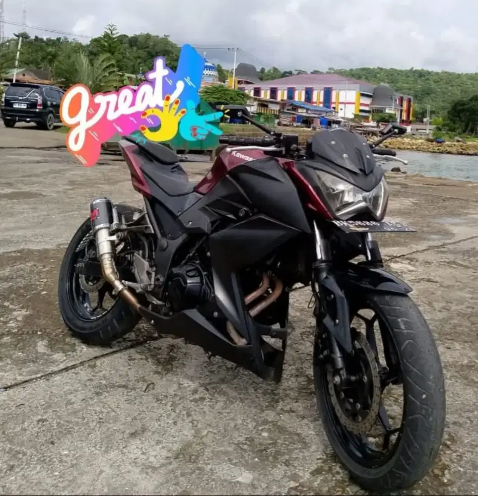 Kawasaki Z250 FI