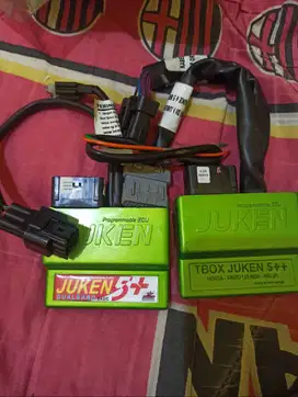 Ecu juken Vario
