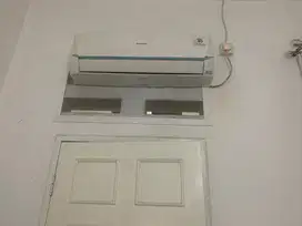 ac sharp 1/2 Pk