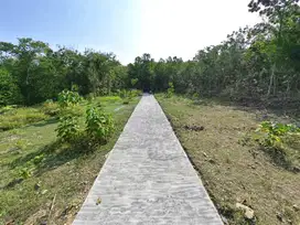Tanah Jl. Nagung-Brosot  Jogja 7 Menit Samsat Kulon Progo