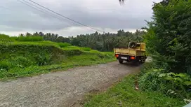 Di jual kebun manggis luasan kecil view sawah di tabanan bali