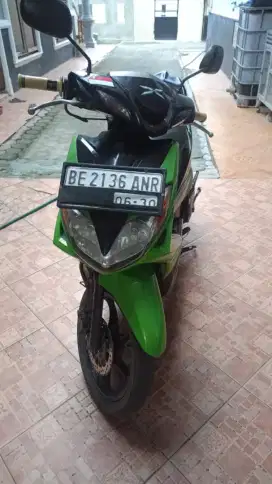Xeon karbu hijau