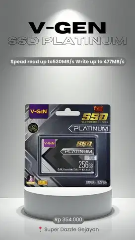 V-GEN SSD SATA PLATINUM