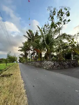 dijual tanah di belakang kelurahan candi binangun