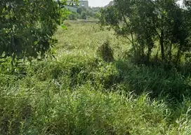 Dijual tanah Nagoya batam Dekat DC Mall