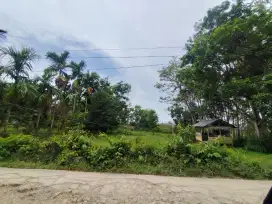 Jual tanah di Suak bujang