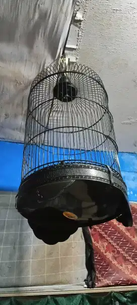 Kandang burung kecil