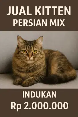 Dijual indukan kucing cantik & Sehat – Sidoarjo