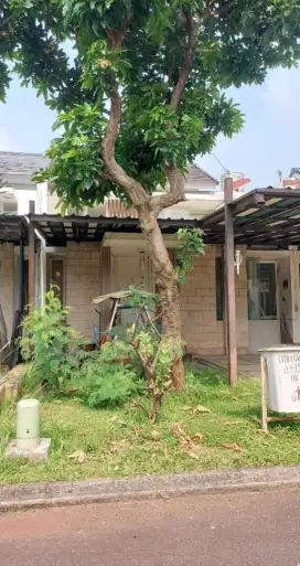 Rumah murah perlu Renovasi tanah luas di Citra Gran Cibubur