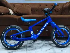 Sepeda Pushbike GTR carbon Rockfish