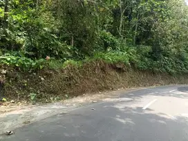 Tana Murah Jl samigaluh Boro pas tuk inves maupun perkebunan.