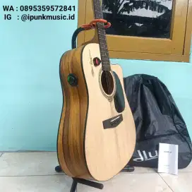DLUXE DW100 Original Gitar transcustic Akustik Elektrik New