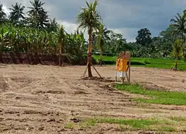 Tanah Kavling Pejeng Kelod Bali Zona Kuning
