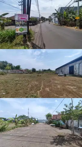 LELANG TANAH + GUDANG 3,65 HEKTAR DI 0 JL RAYA GUNUNG GANGSIR PASURUAN