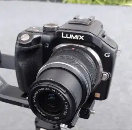 Mirores Lumix G5