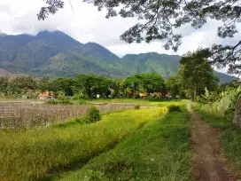 Tanah di Area Wisata Cipanas Tarogong Garut
