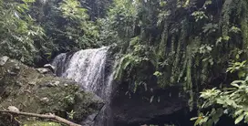 Di jual tanah murah view air terjun dan jungle di tabanan bali