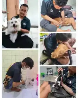 Grace Petcare Grooming