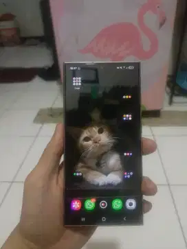 samsung s24 ultra 12/256 sein