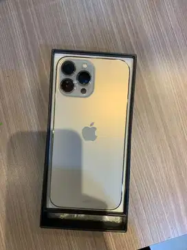 Iphone 13promax 256gb