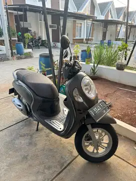 Scopy stylis tahun 2022