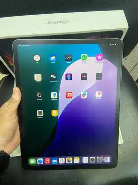 iPad Pro M1 (256GB 12,9 inchi Wifi Celluler) Ex inter Second Org