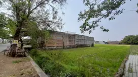 Dijual Cepat Tanah Sawah Produktif Lokasi Strategis di Mojoagung
