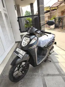 Bissmillah dijual motor Honda Genio fabulous 2019 istimewa