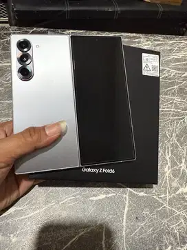 Samsung Galaxy Z Fold 6 Sein