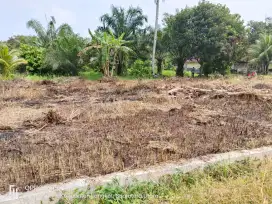 Tanah darat 12x20m cuma 80juta dijual cepat aja surat sk camat