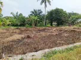 Tanah darat pinggir jalan Kartini simpang Gumit City lebar 6x20m 40jt